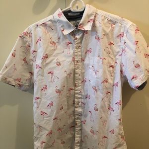 Flamingo short sleeve button up.